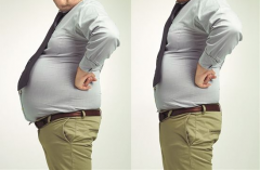 赛乐赛减肥药能快速减肥吗?用赛乐赛解决肥胖